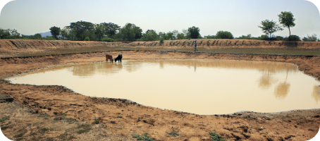 Large pond